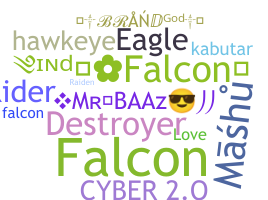 暱稱 - Falcons