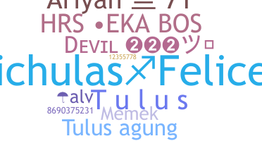 暱稱 - Tulus