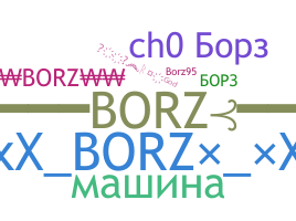 暱稱 - Borz