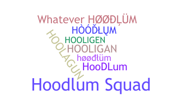 暱稱 - hoodlum