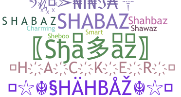 暱稱 - Shabaz